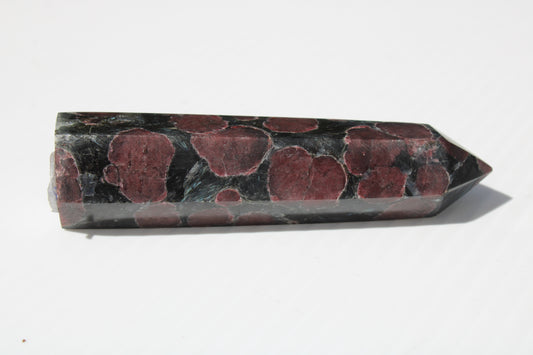 Garnet with Astrophyllite wand 119g Rocks and Things