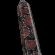 Garnet with Astrophyllite wand 119g  - Rocks and Things Store