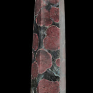 Garnet with Astrophyllite wand 119g  - Rocks and Things Store