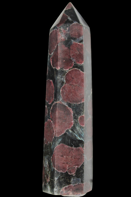 Garnet with Astrophyllite wand 119g  - Rocks and Things Store