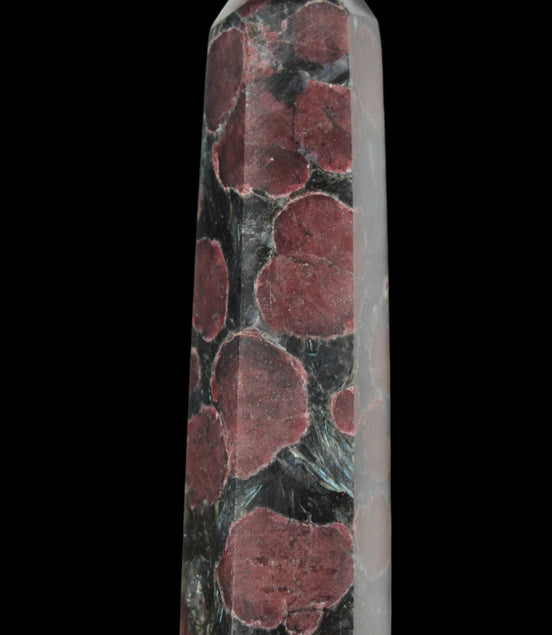 Garnet with Astrophyllite wand 119g  - Rocks and Things Store