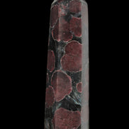 Garnet with Astrophyllite wand 119g  - Rocks and Things Store