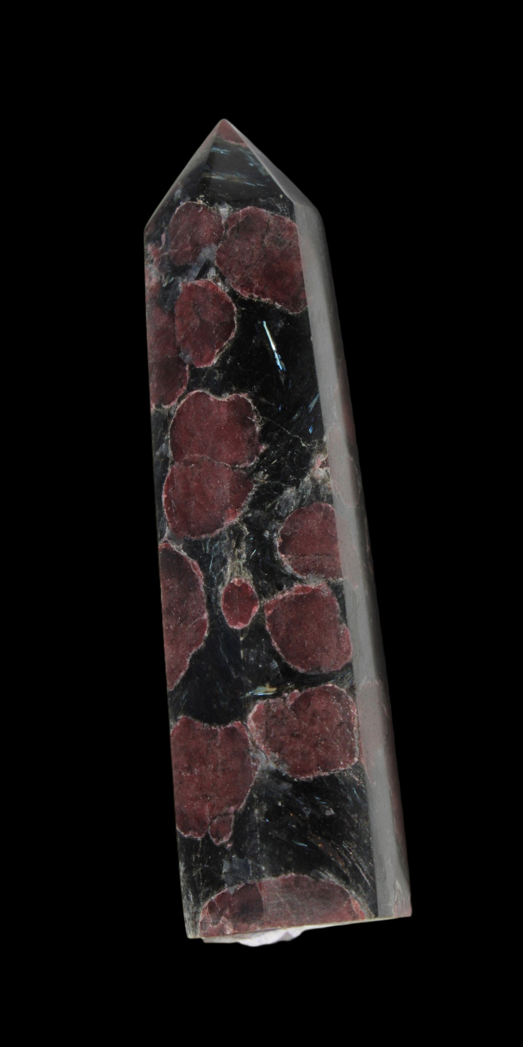 Garnet with Astrophyllite wand 119g  - Rocks and Things Store