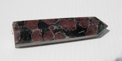 Garnet with Astrophyllite wand 119g