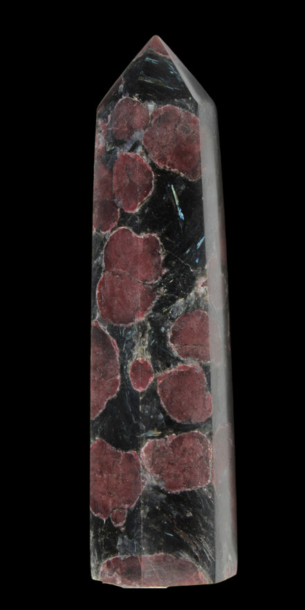 Garnet with Astrophyllite wand 119g  - Rocks and Things Store