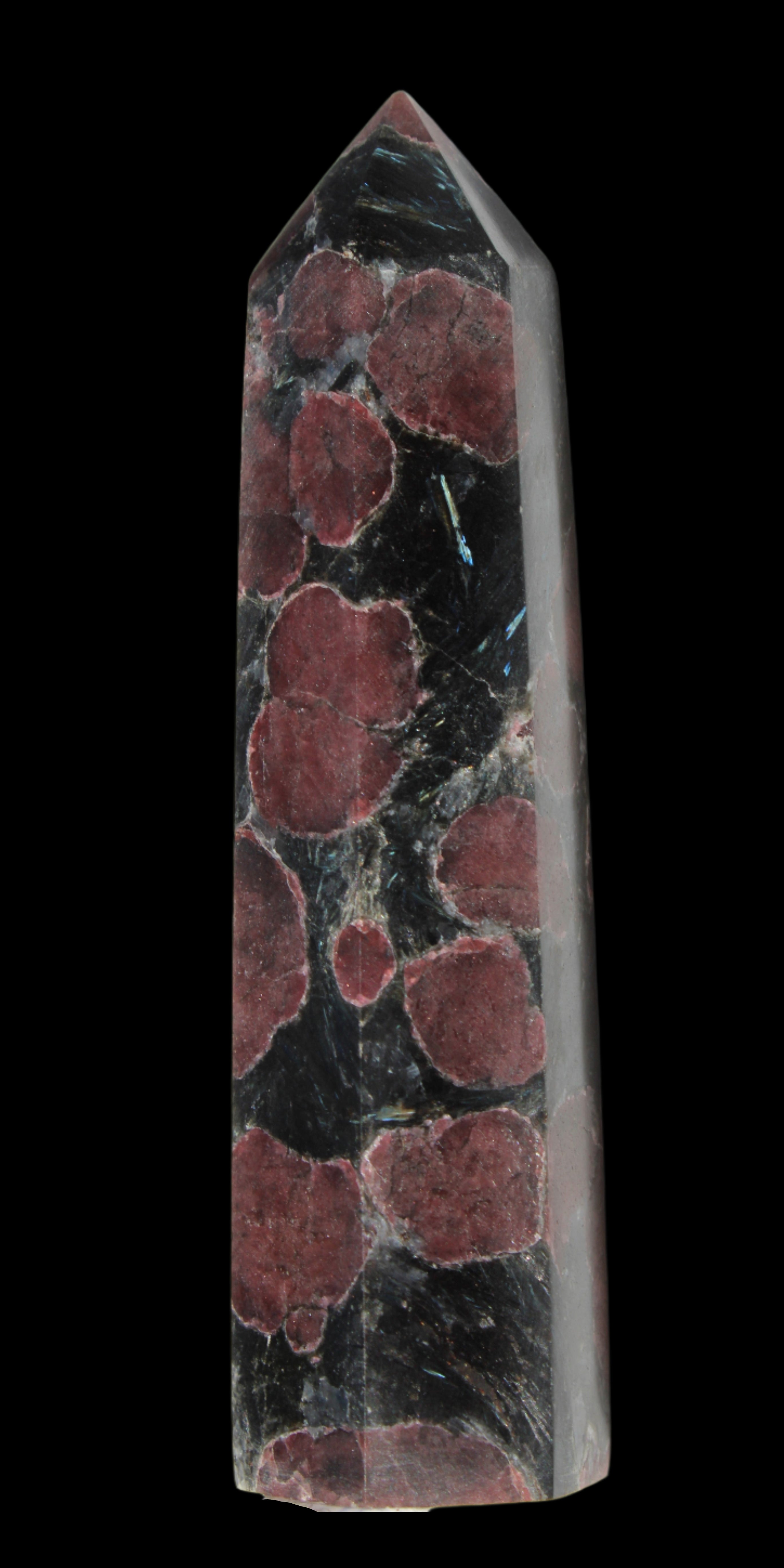Garnet with Astrophyllite wand 119g  - Rocks and Things Store