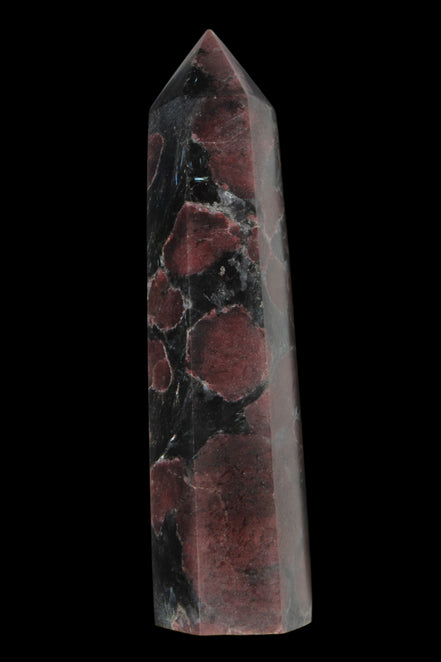 Garnet with Astrophyllite wand 119g  - Rocks and Things Store