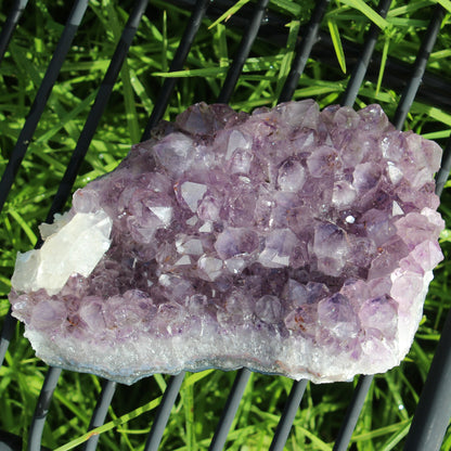 Amethyst with UV reactive Calcite cluster 1347g