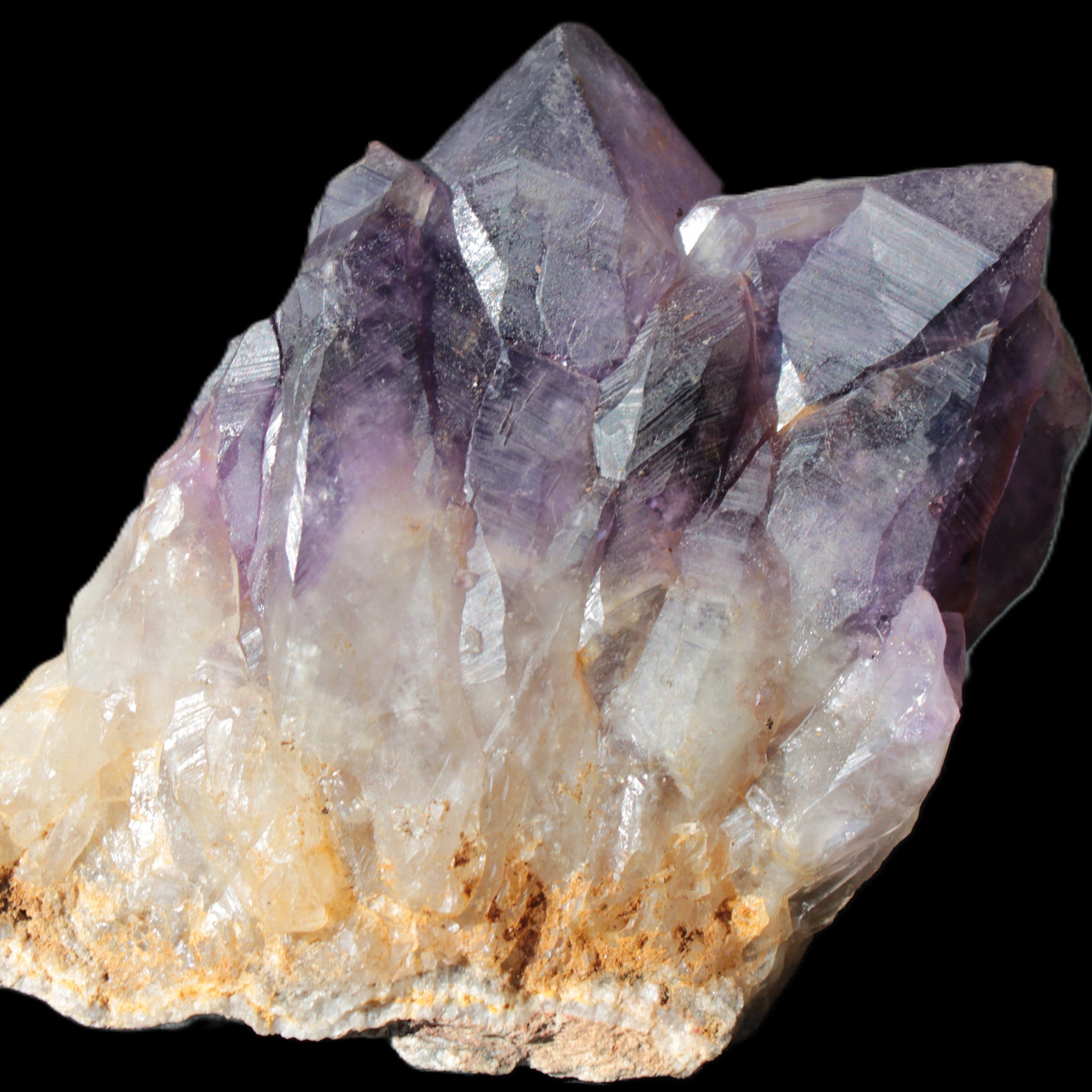 Amethyst backbone cluster 1341g Rocks and Things