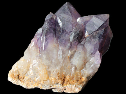 Amethyst backbone cluster 1341g Rocks and Things