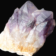 Amethyst backbone cluster 1341g in sunshine - Rocks and Things Store