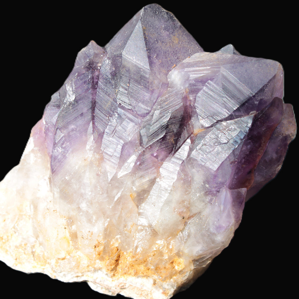 Amethyst backbone cluster 1341g Rocks and Things