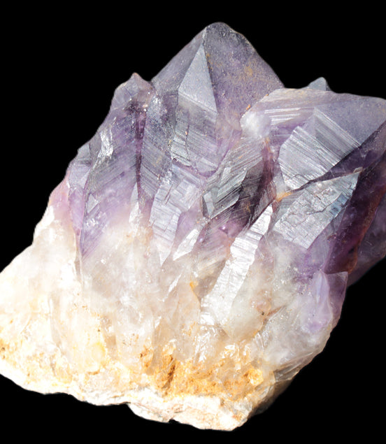 Amethyst backbone cluster 1341g in sunshine - Rocks and Things Store