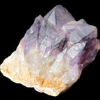 Amethyst backbone cluster 1341g Rocks and Things