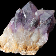 Amethyst backbone cluster 1341g in sunshine - Rocks and Things Store