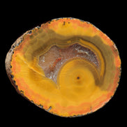 Warring States Carnelian red and yellow silk banded Agate 71g - Rocks and Things Store