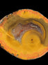 Warring States Carnelian red and yellow silk banded Agate 71g - Rocks and Things Store