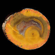 Warring States Carnelian red and yellow silk banded Agate 71g - Rocks and Things Store