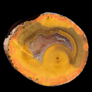 Warring States Carnelian red and yellow silk banded Agate 71g - Rocks and Things Store