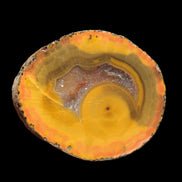 Warring States Carnelian red and yellow silk banded Agate 71g - Rocks and Things Store