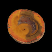 Warring States Carnelian red and yellow silk banded Agate 71g - Rocks and Things Store