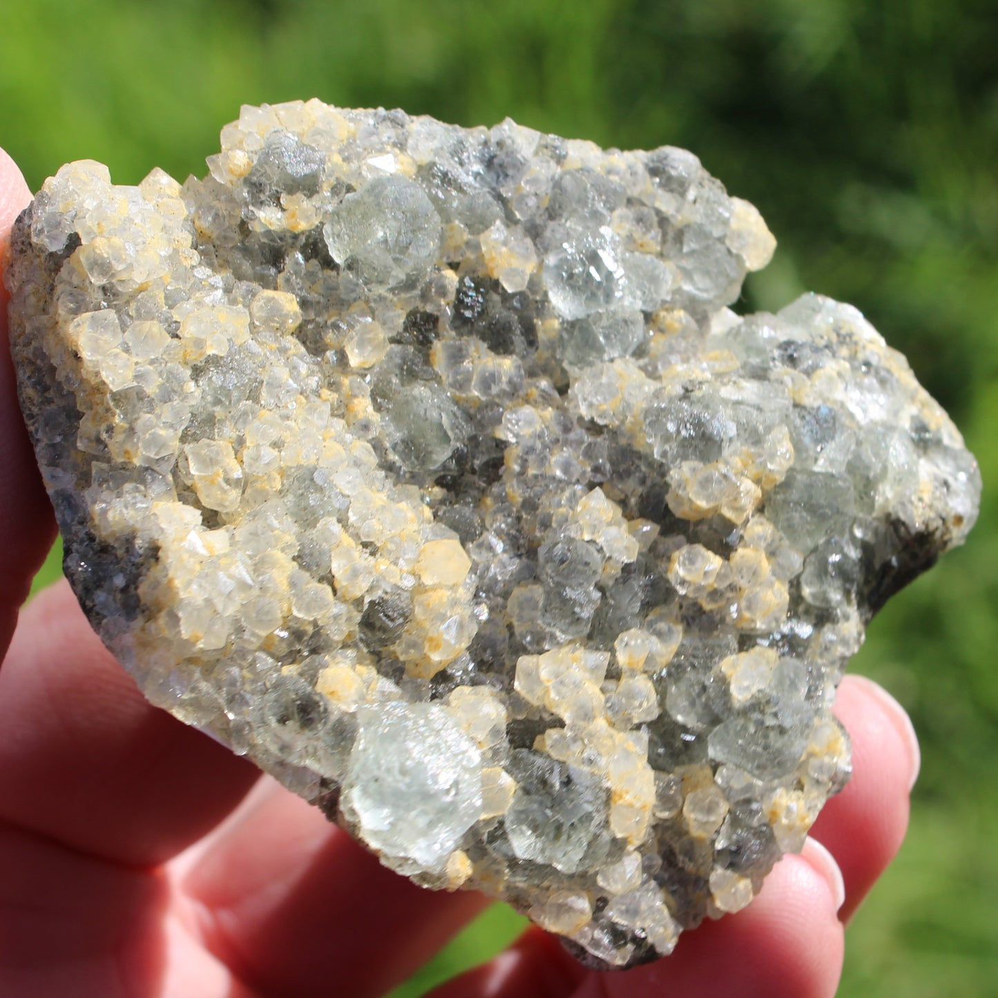 Fluorite green and yellow cubic crystal cluster 110g Rocks and Things