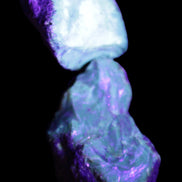 Blue Amber from Mozambique 1/2 pieces 37-40mm 14-20g in UV light - Rocks and Things Store