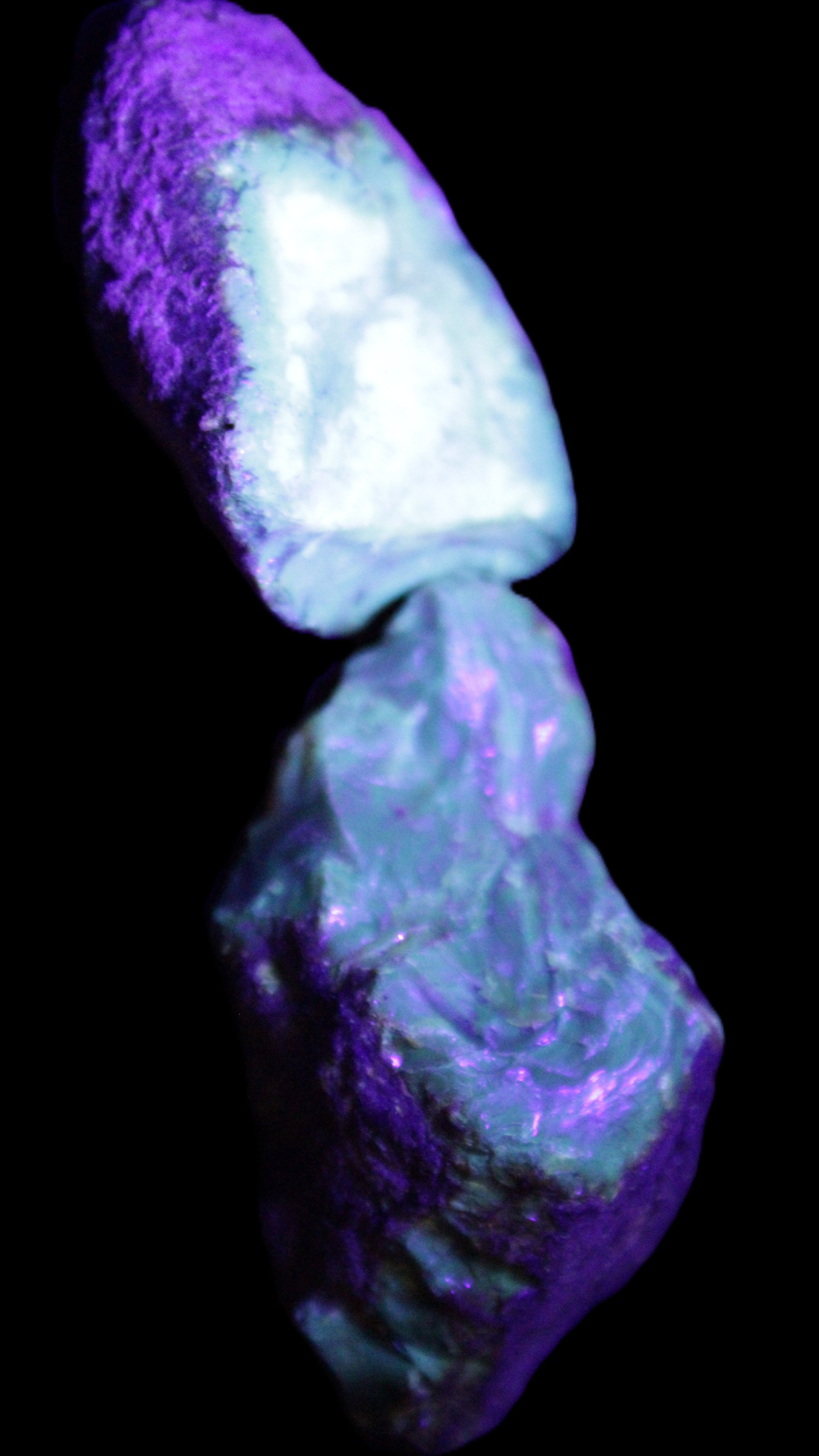 Blue Amber from Mozambique 1/2 pieces 37-40mm 14-20g in UV light - Rocks and Things Store