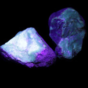 Blue Amber from Mozambique 1/2 pieces 37-40mm 14-20g in UV light - Rocks and Things Store