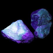 Blue Amber from Mozambique 1/2 pieces 37-40mm 14-20g in UV light - Rocks and Things Store