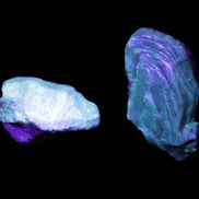 Blue Amber from Mozambique 1/2 pieces 37-40mm 14-20g in UV light - Rocks and Things Store