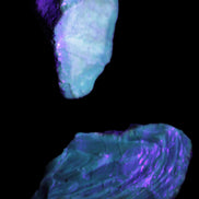 Blue Amber from Mozambique 1/2 pieces 37-40mm 14-20g in UV light - Rocks and Things Store