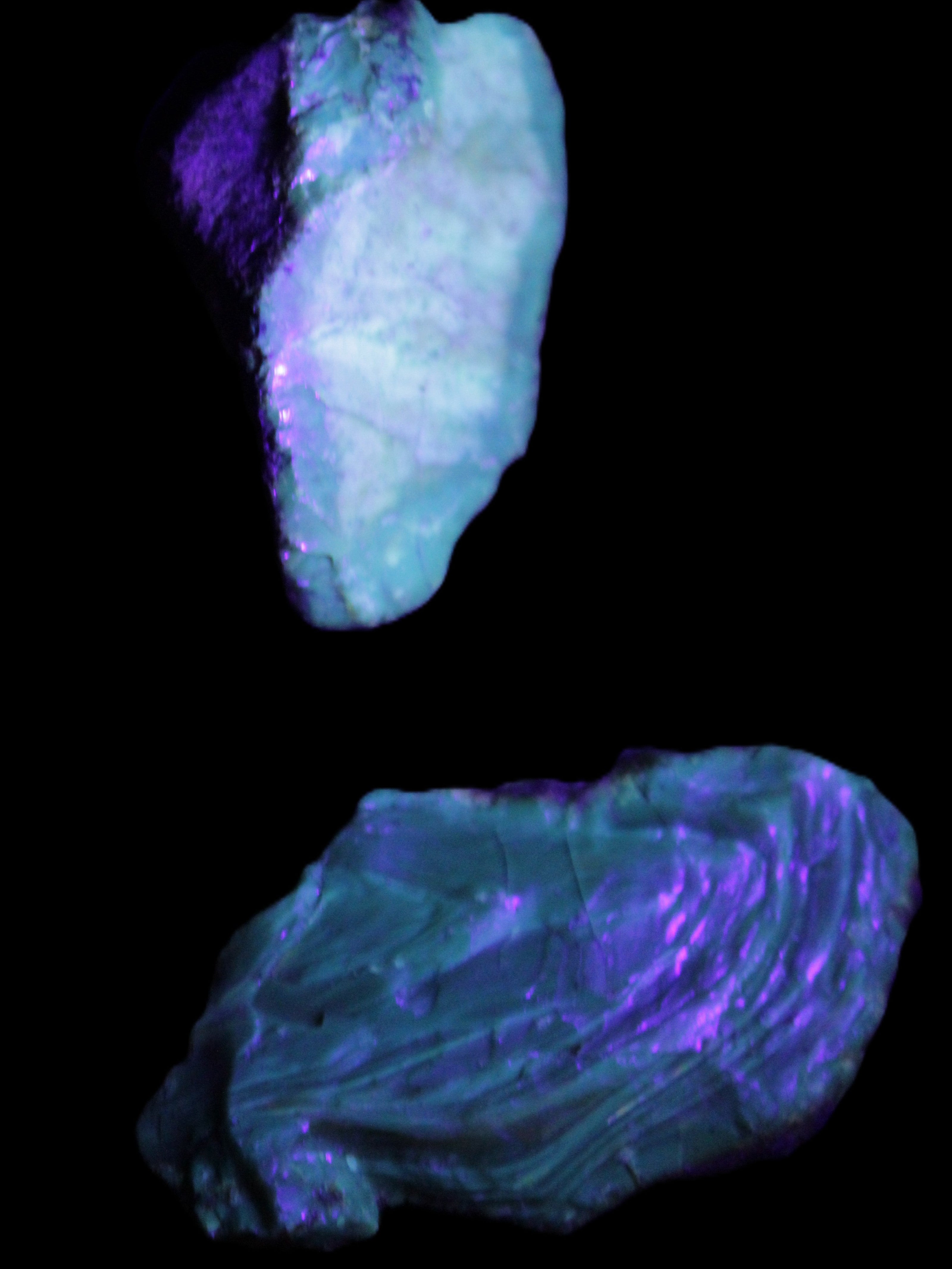 Blue Amber from Mozambique 1/2 pieces 37-40mm 14-20g in UV light - Rocks and Things Store