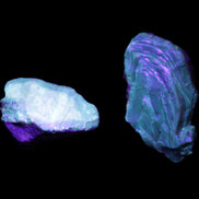 Blue Amber from Mozambique 1/2 pieces 37-40mm 14-20g in UV light - Rocks and Things Store