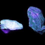 Blue Amber from Mozambique 1/2 pieces 37-40mm 14-20g in UV light - Rocks and Things Store