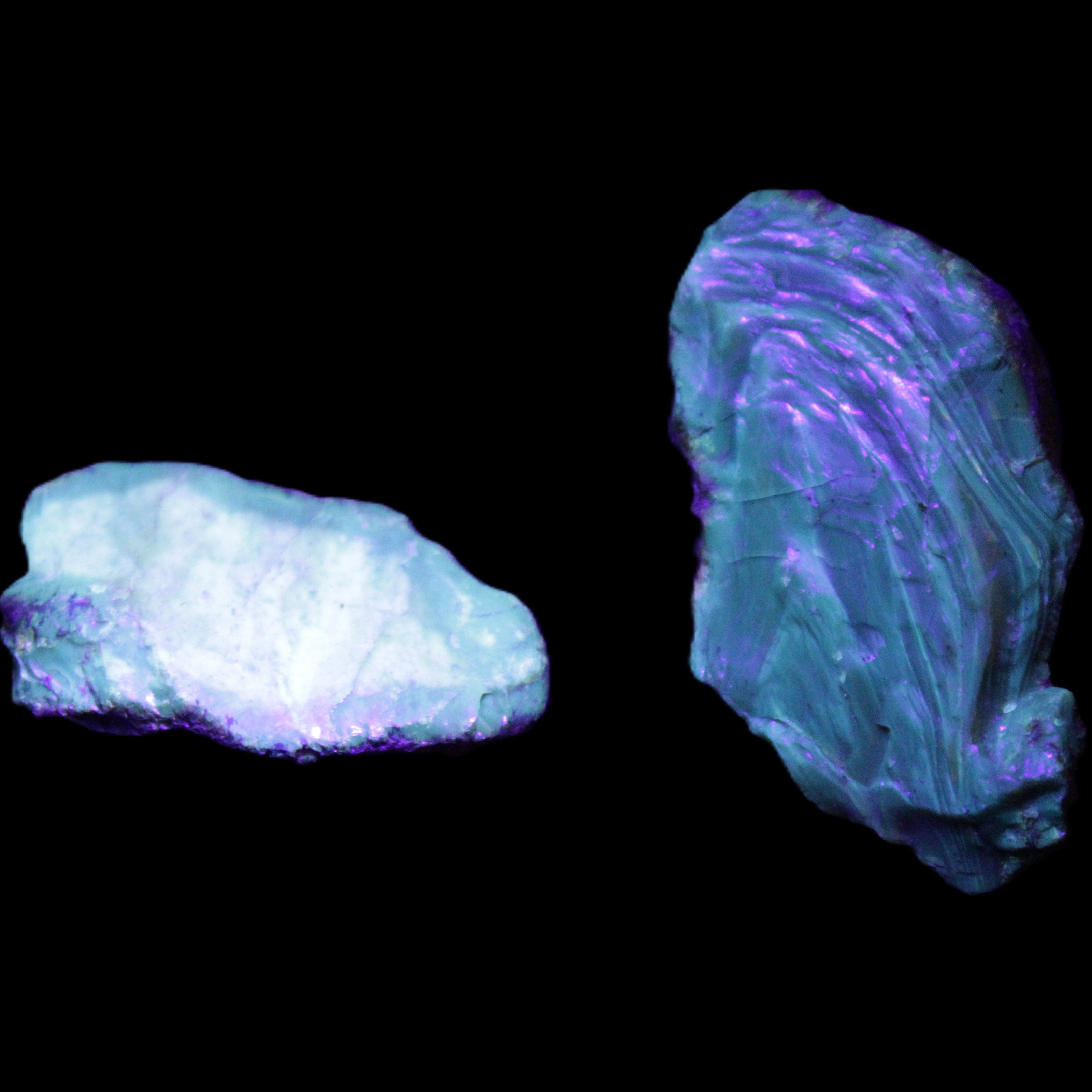 Blue Amber from Mozambique 1/2 pieces 37-40mm 14-20g in UV light - Rocks and Things Store