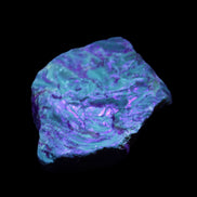 Blue Amber from Mozambique 1/2 pieces 37-40mm 14-20g in UV light - Rocks and Things Store