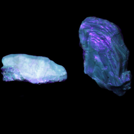Blue Amber from Mozambique 1/2 pieces 37-40mm 14-20g in UV light - Rocks and Things Store