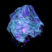 Blue Amber from Mozambique 14g in UV light - Rocks and Things Store