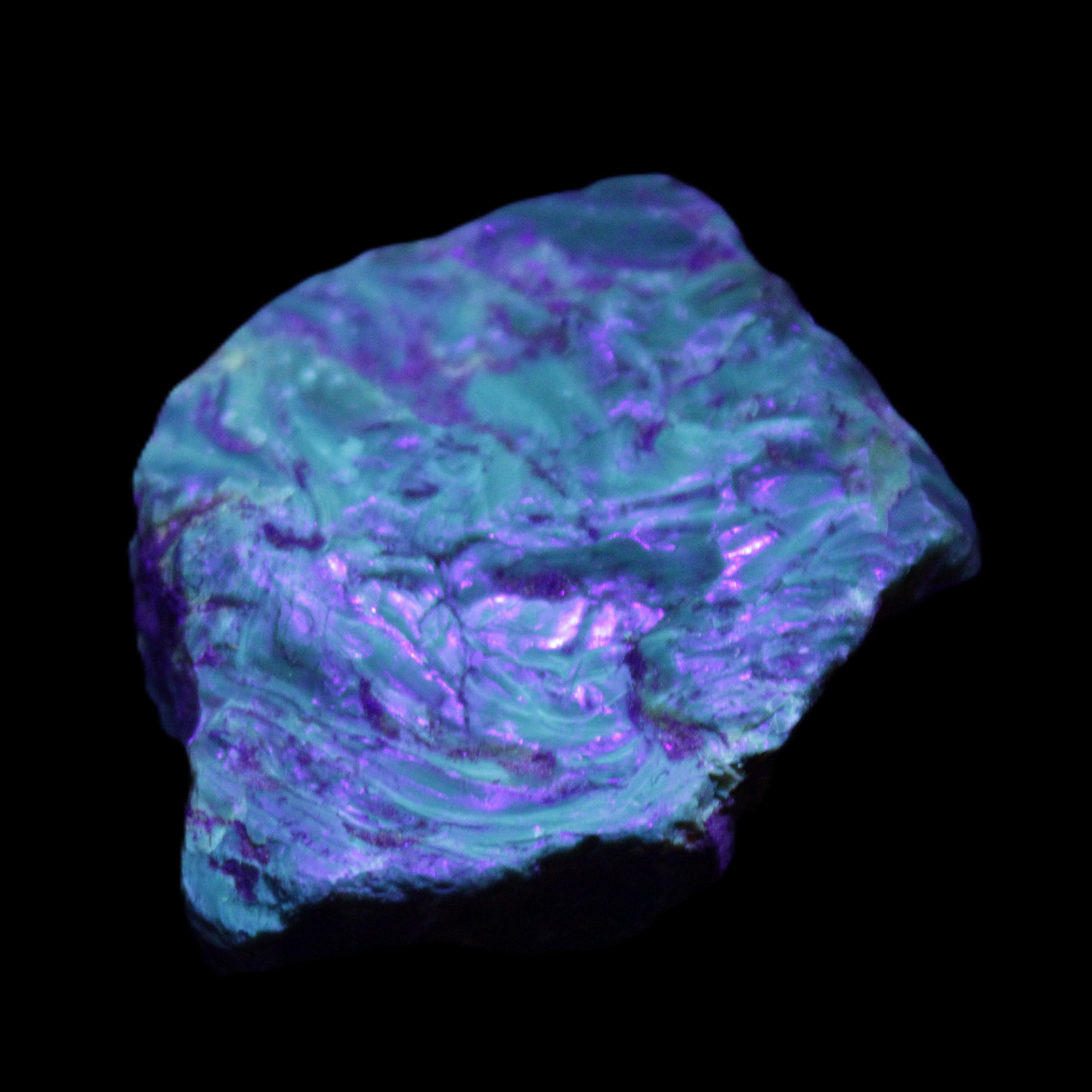 Blue Amber from Mozambique 14g in UV light - Rocks and Things Store