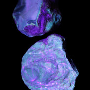 Blue Amber from Mozambique 14g in UV light - Rocks and Things Store