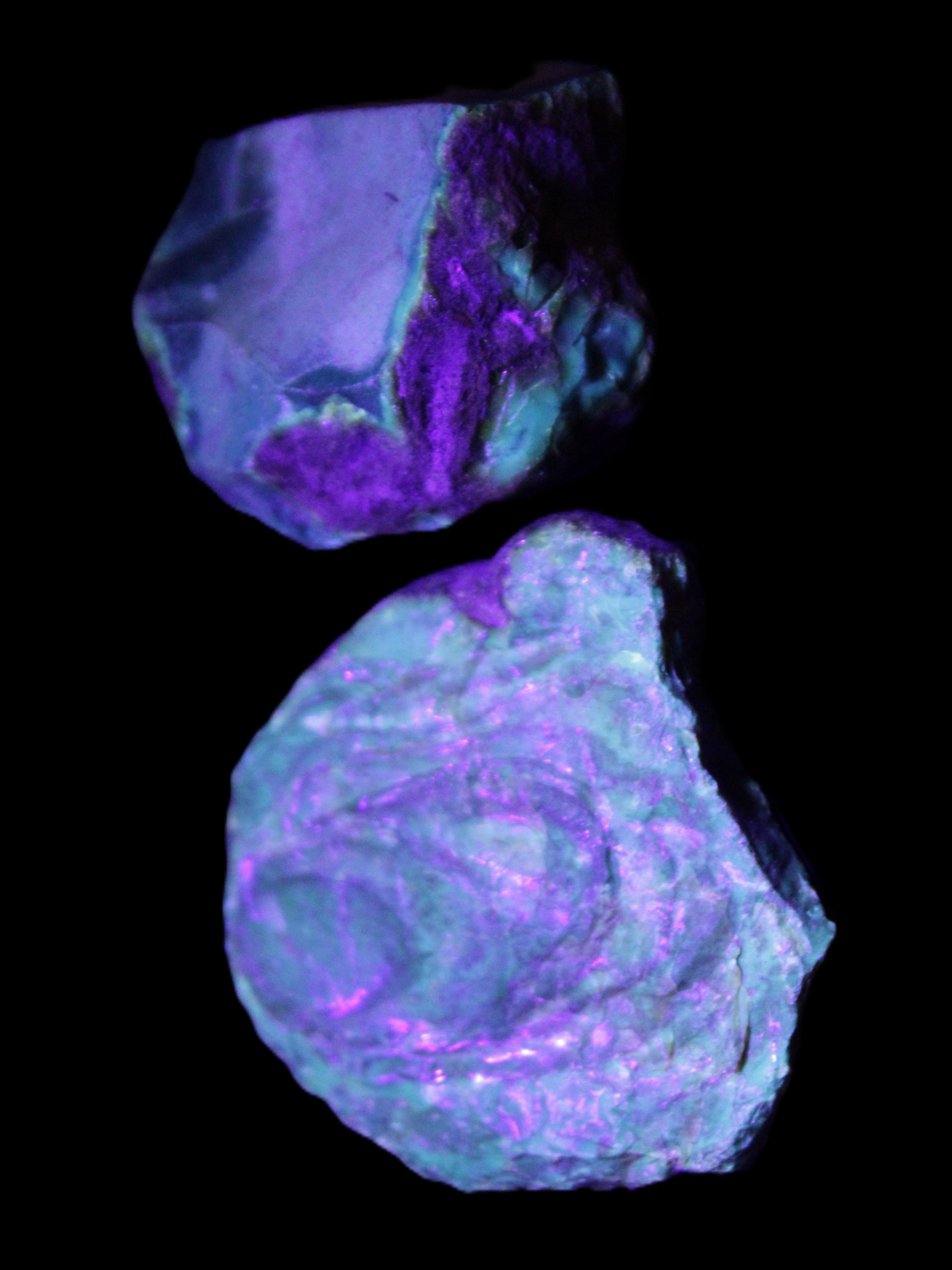 Blue Amber from Mozambique 14g in UV light - Rocks and Things Store