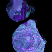 Blue Amber from Mozambique 14g in UV light - Rocks and Things Store