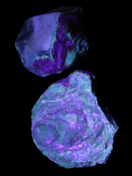Blue Amber from Mozambique 14g in UV light - Rocks and Things Store