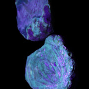 Blue Amber from Mozambique 14g in UV light - Rocks and Things Store