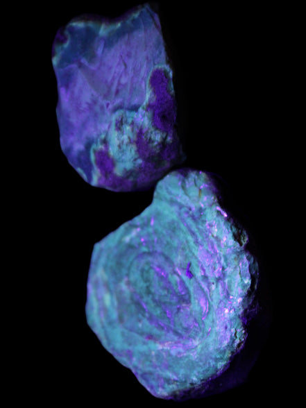 Blue Amber from Mozambique 14g in UV light - Rocks and Things Store