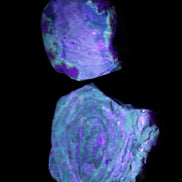 Blue Amber from Mozambique 14g in UV light - Rocks and Things Store