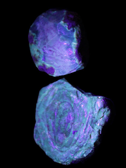 Blue Amber from Mozambique 14g in UV light - Rocks and Things Store