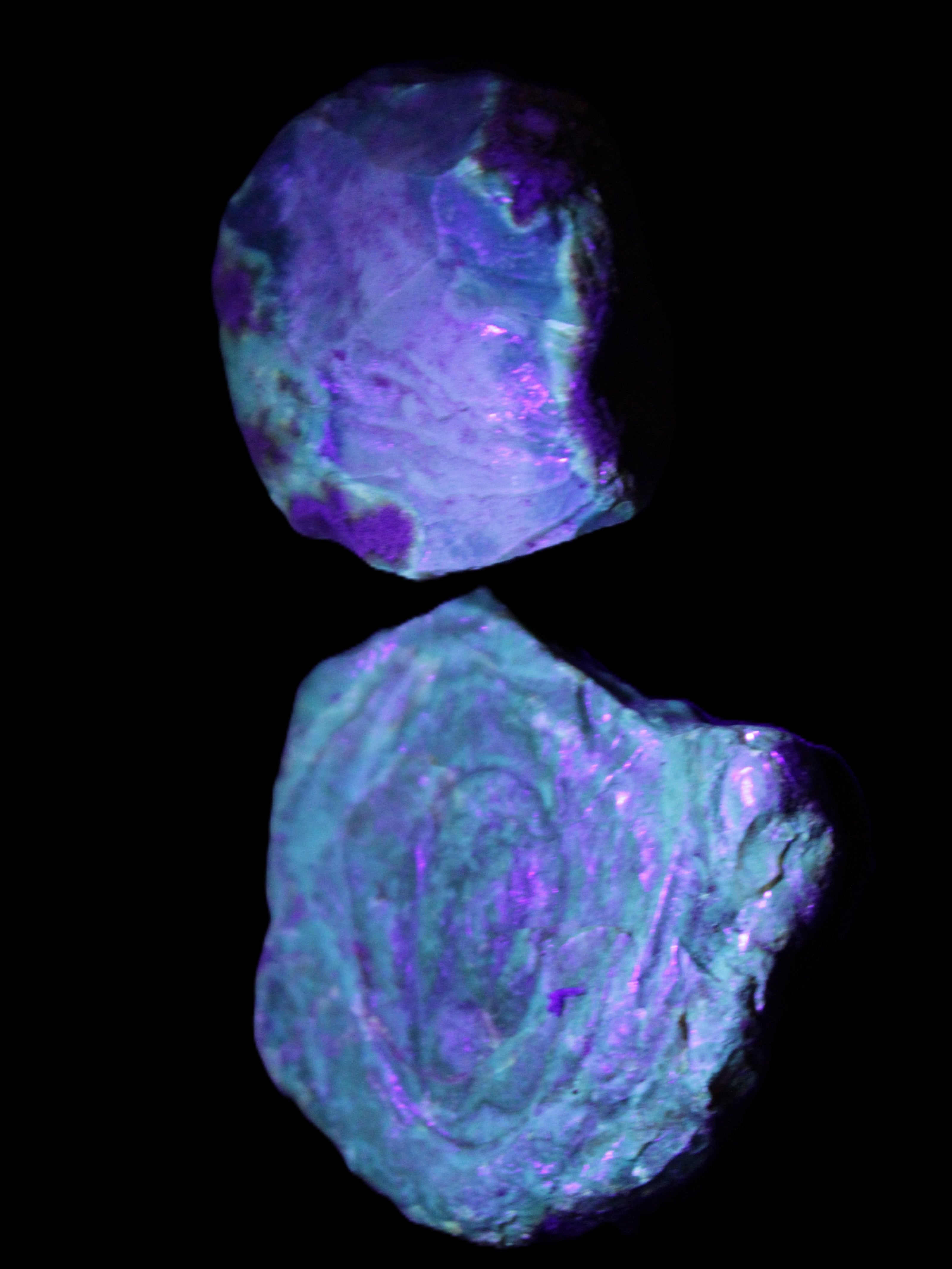 Blue Amber from Mozambique 14g in UV light - Rocks and Things Store