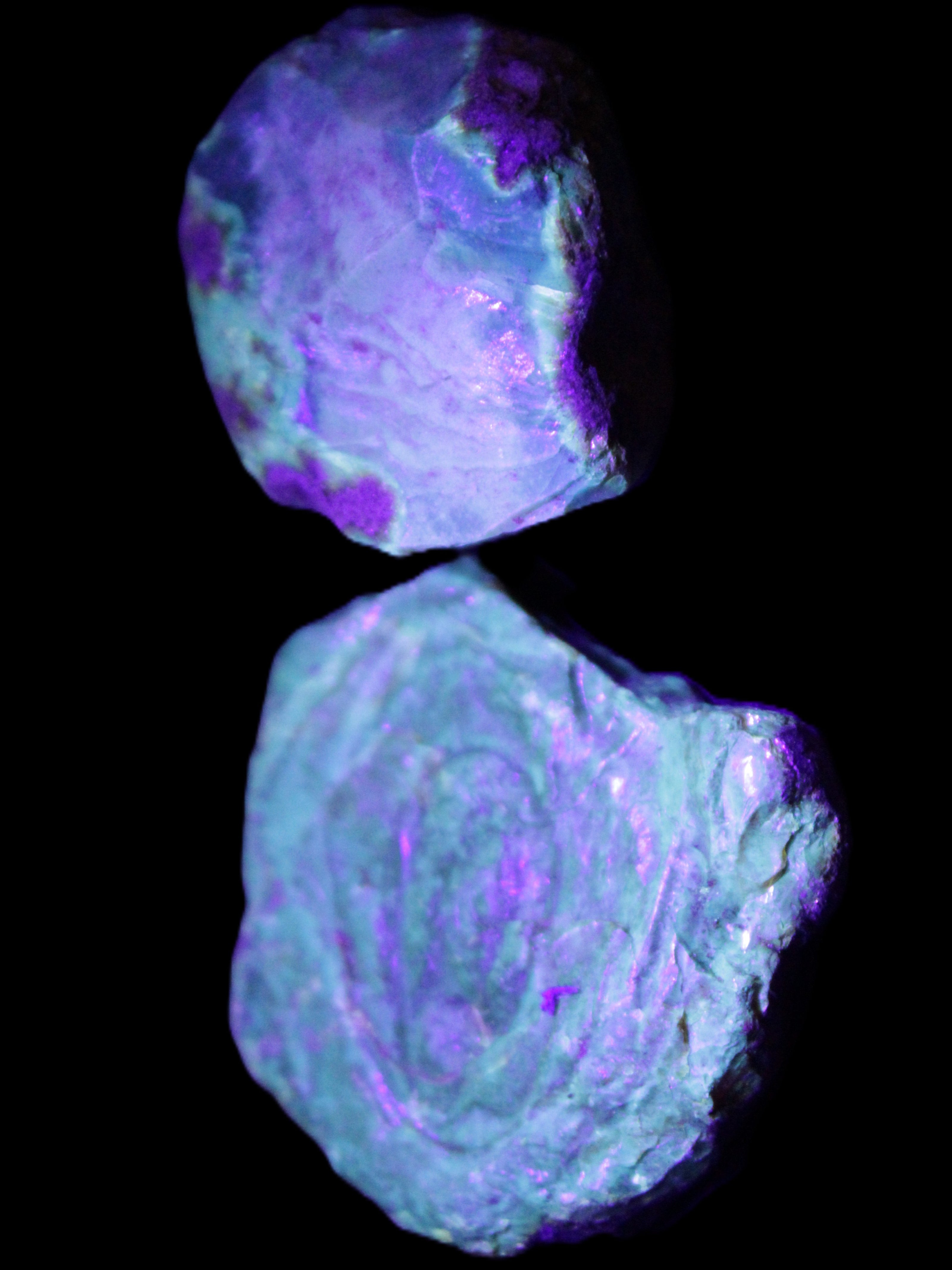Blue Amber from Mozambique 14g in UV light - Rocks and Things Store